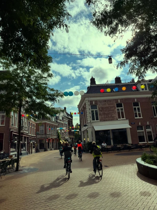 Op de bijna-laatste-schooldag stapte groep 8 voor een laatste keer op de fiets naar ‘t centrum van Groningen. Voor ‘dieren op straat’. #kunstroute #gezelligheid #groningen
